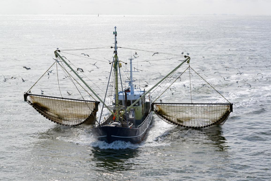 bateau peche